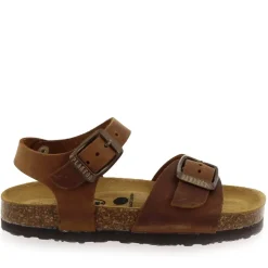 Louis - Marron