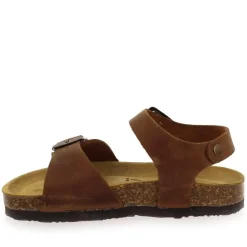 Louis - Marron