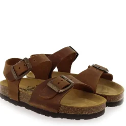 Louis - Marron