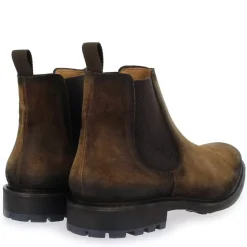 4269 - Marron