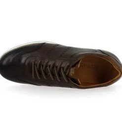 4998 245 - Marron