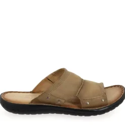 439004 - Marron