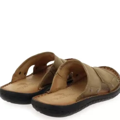 439004 - Marron