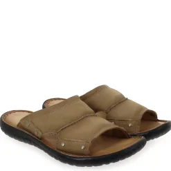 439004 - Marron
