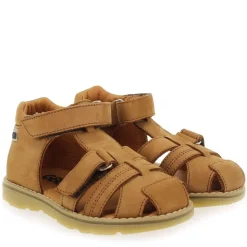 Mitri E23 - Camel