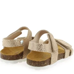 Ocli - Beige Platine