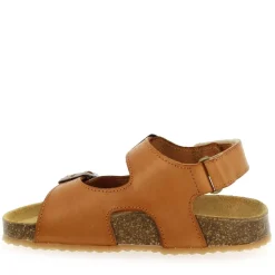 Parito - Cognac