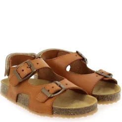 Parito - Cognac
