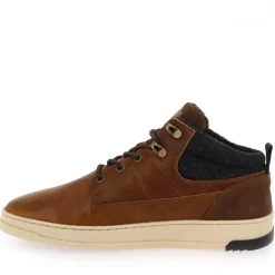 616P51476C - Cognac