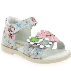 Pelite - Rose Multi