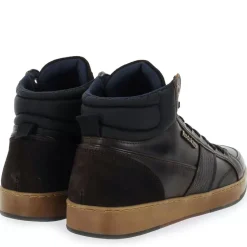 Sabal - Marron Fonce