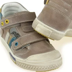Scotto - Taupe Jaune