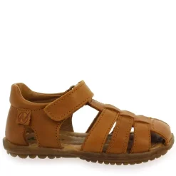 See G - Camel