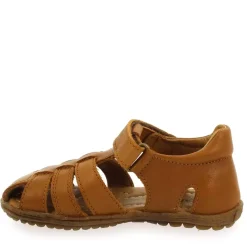 See G - Camel