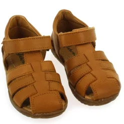 See G - Camel
