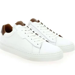 Spark Clay - Blanc Cognac