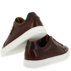 Spark Clay Ciclon - Cognac