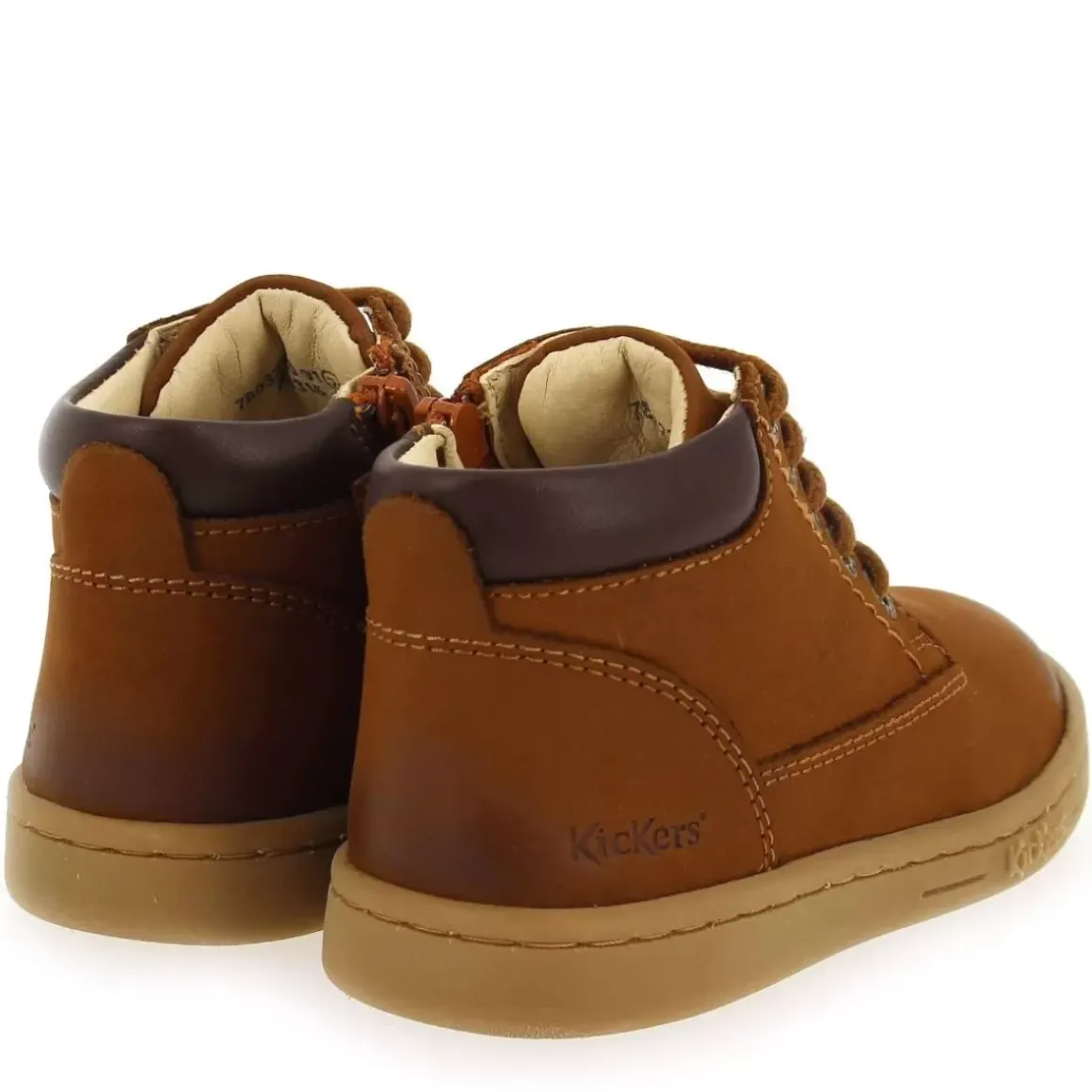 Tackland - Cognac