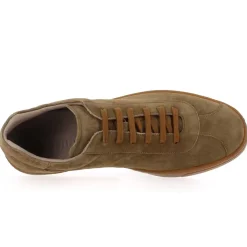 353 01 - Taupe