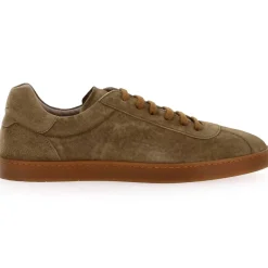 353 01 - Taupe