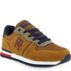 T3B9 - Cognac