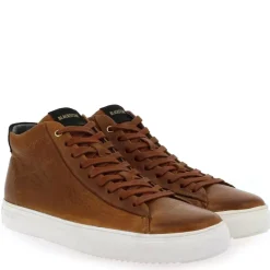 Vg06 - Cognac