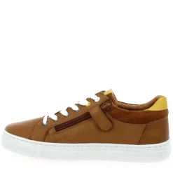 Viali - Cognac