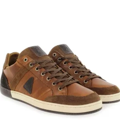 Willis - Cognac Marron