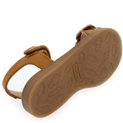5615Xe - Camel Multi