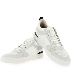 Xg73 - Blanc Gris
