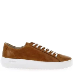 Zg18 - Cognac
