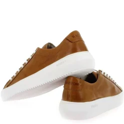 Zg18 - Cognac